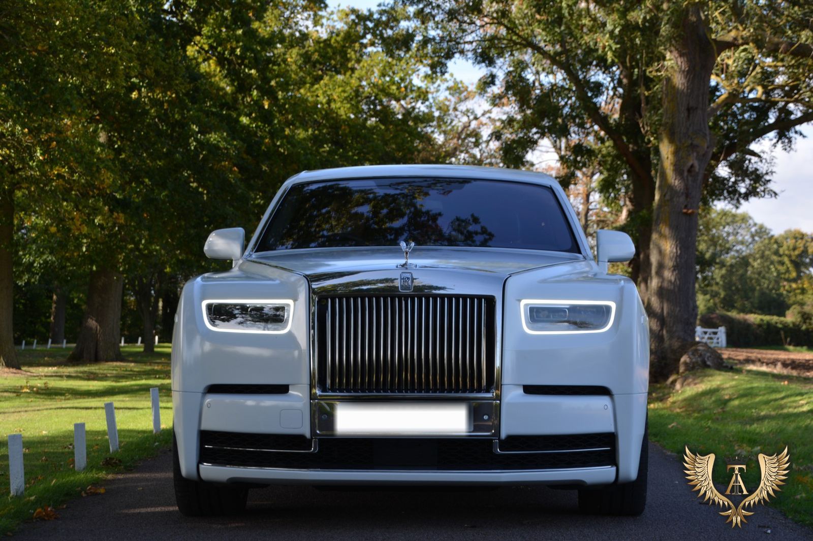 Luxury chauffeur vehicle detail — TIA Luxury executive car service